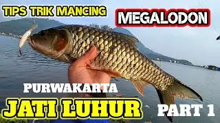 Tips Trik CASTING HAMPALA WADUK JATILUHUR UBRUG DERMAGA USMAN PURWAKARTA JAWA BARAT part 1