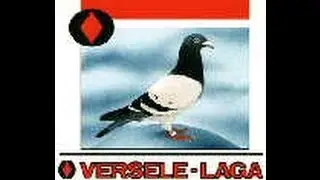 Kingstown Pet Supplies - Pigeon Products