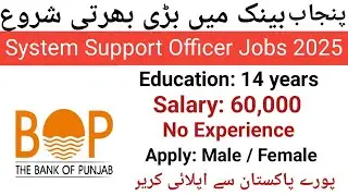The Bank Of Punjab System Support Officer Jobs 2025 | No Experience | New Government Jobs 2025