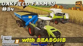 Finishing chaff harvesting and harvesting corn | Oakfield Farm 19 #114 | FS19 TimeLapse | 4K