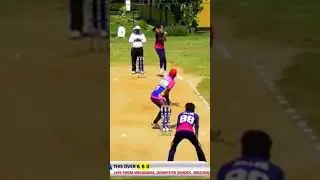 Thilina Samarathunga | King of Softball Cricket  #tennisballcricket #softballcricket #venuesbologana