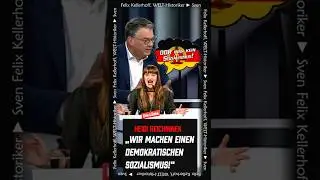 Bildungsl&uuml;cke bei Heidi Reichennek? | Sven Felix Kellerhoff | #welt #short