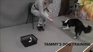Trick Certificate at TDT