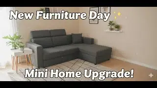 New Furniture Day ✨  Mini Home Upgrade!