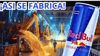 COMO se HACE el REDBULL | Asi se FABRICA la bebida ENERGETICA mas VENDIDA