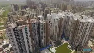 Express Zenith - Aerial View