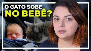 24 Gatos e Um Bebê | A REALIDADE Um Ano Depois