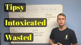 Words to describe 'BEING DRUNK' in English