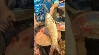 Big Rohu Fish Cutting Skills In Bangladesh Fish Market | Fish Cutting Skill