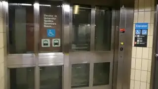 All Three Elevators at TTC Spadina Subway Station 1/2/2023