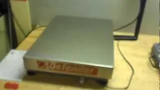 Ohaus Bench Scale