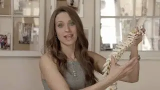 Chiropractic adjustments and headaches / migraine relief