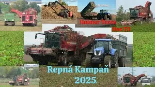 Repn&aacute; kampaň 2025 / Holmer Terra DoS 3 / John deere 7830 / New Holland T7.310 / Tatra