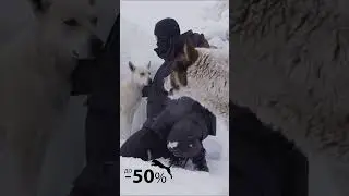 Puma AW 2023 Winter Sale 1080х1920mp4