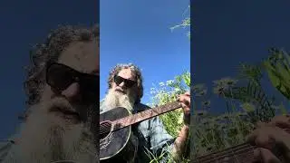 Jay Gavin - Bobby McGee