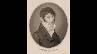 Mauro Giuliani Sonatina opus 71 n.2 || Performer: David Manzanares Viles