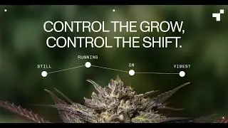 Cannabis Rescheduling: Post Signing Day and Why the Celebration Is Premature