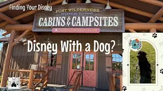 Staying at Disney&rsquo;s Fort Wilderness Cabins with a Dog &mdash; Our Honest First Experience