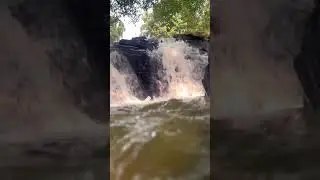 Free Fish therapy 🤔😱😍 #calm #environment #beautiful #viral  #shorts