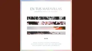 Marcas Mi Corazón