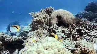 Nalusuan Marine Sanctuary