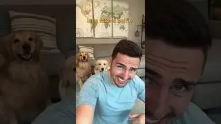 Наконец-то это случилось! Групповое селфи с собаками 📸