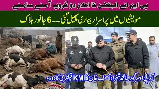 Maweshiyo Men Pur-Israr Bimari Phail Gayi 6 janwar Halak | RPO Sargodha Ka KMI Fectory Bhk ka Visit