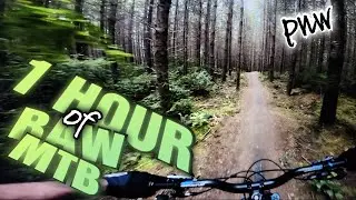 1 HOUR OF MTB TRAILS PNW no talking no music raw sound