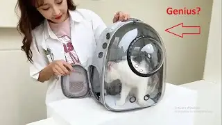cat backpacks with bubble window - cat backpack review (The Updated One Your Cat Wants!)