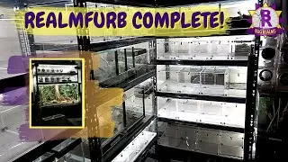 REALMFRUB COMPLETE! BUG REALMS PHASE 2!