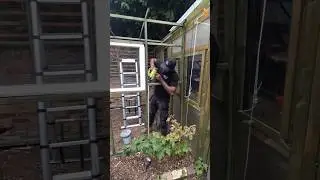 Putting The Rafters Up.  (Greenhouse Extension Part 6) #greenhouse #buildityourself #gardening