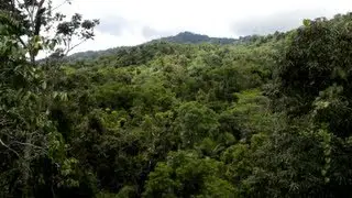 Next Stop: Queensland - Daintree Discovery Centre