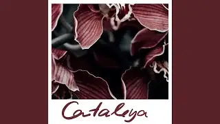 Cataleya