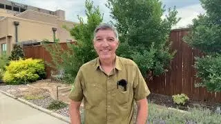 Essential Fall Fertilization Tips for St. Augustine Lawns in North Texas
