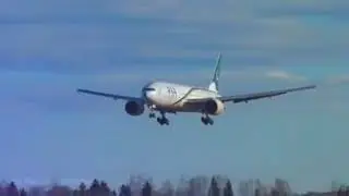PIA operation continues'💓💓❤❤💝💟💗💖