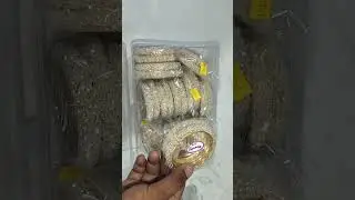 BANGLES in moti stone