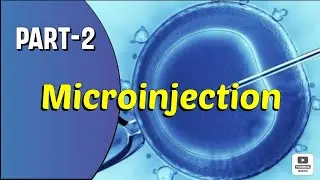 Microinjection|part-2|Method of Transformation|Biotechnology