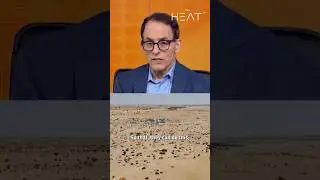 Sanctions are a form of &ldquo;economic violence