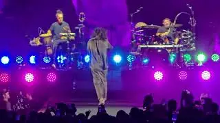 טונה - רובים ותלתלים + היי בייב - לייב פארק 