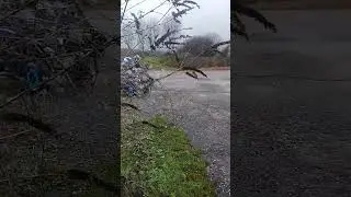 ELECTRIC QUAD 36V 1000W BIKE FUN