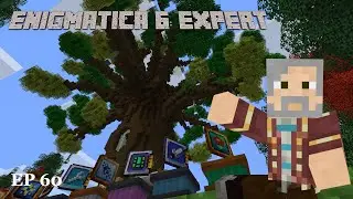 E6E-60 : Enigmatica 6 Expert World Tour