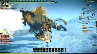Monster Hunter Online - S Challenge Rajang HR Hammer Move Gameplay