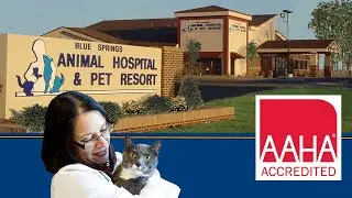 Blue Springs Animal Hospital & Pet Resort