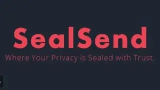 Here's How To Do Your SealSend KYC, Bridge Your ICE On BSC To ION Blockchain & Activate Your Wallet