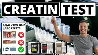 Creatin Test - Wer wurde Testsieger?