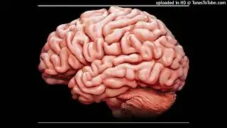 Your Mind (Passion) (Ron Hardy Edit) (Mix 1)