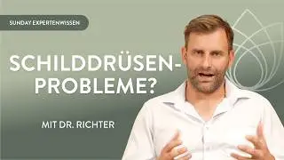 Schilddr&uuml;senwerte verstehen: Die wichtigsten Tests, Marker & Basics einfach erkl&auml;rt