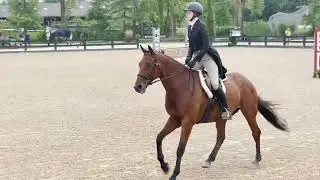 Vendetta's Blue Sky- 2'6 Derby (both rounds) Brave Horse 9/4/21