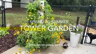 ☀️Transitioning the Tower Garden from Spring to Summer