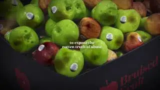 Bruised Fruit   isolation of the pandemic has caused abuse numbers to increase by 30%